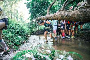 BIB: 
                            <button type="button" onclick="openModal(25466423)" class="btn btn-primary btn-sm float-right btn-popup" data-toggle="modal" data-target=".modal-high-quality">
                        <i class="fas fa-shopping-cart"></i> Add to Cart
                    </button>
                                            <button type="button" onclick="isThisMe(25466423, true)" class="btn btn-success btn-sm float-right btn-popup btn-isme hidden" data-toggle="tooltip" data-placement="bottom" title="นี่คือรูปของคุณใช่ไหม คลิกที่นี่เพื่อเอาเข้าอัลบั้ม">
                        <i class="fas fa-plus"></i> Add to album
                    </button>
                    <button type="button" onclick="isThisMe(25466423, false)" class="btn btn-warning btn-sm float-right btn-popup btn-isnotme hidden">
                        <i class="fas fa-ban"></i> Remove from album
                    </button>